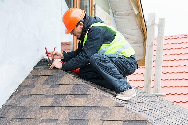 Roof Gutter Cleaning in Gold Hill, OR